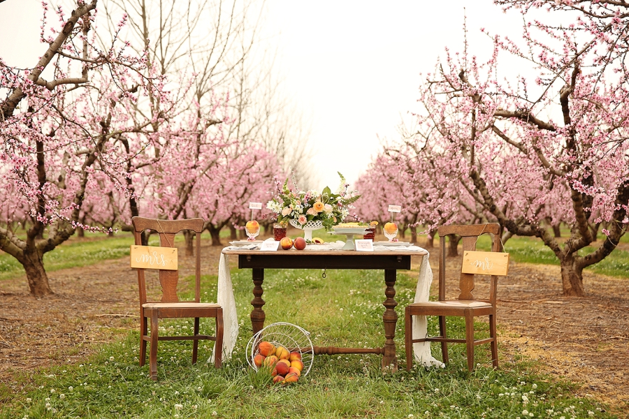 Peach Inspired Southern Wedding Ideas via TheELD.com