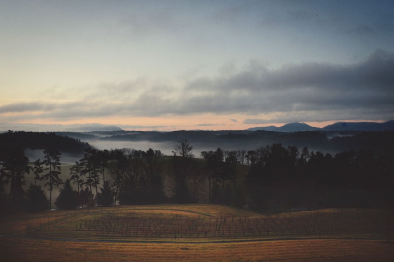 Elegant Silver and White Biltmore Estate Wedding via TheELD.com