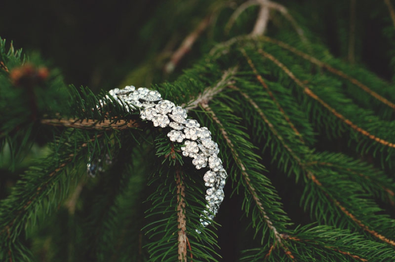 Elegant Silver and White Biltmore Estate Wedding via TheELD.com