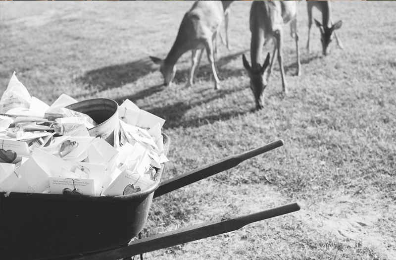 Rustic Texas Ranch Wedding via TheELD.com