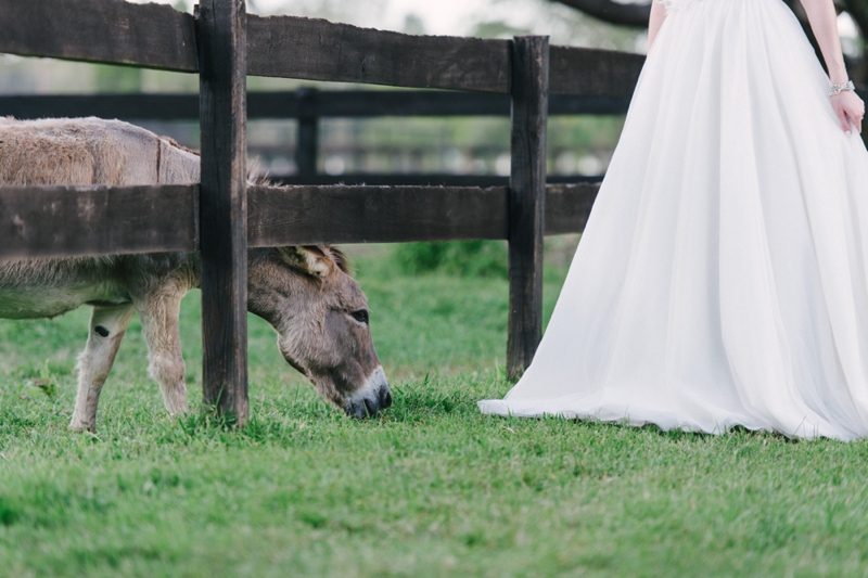 Rustic and Modern White Wedding Inspiration via TheELD.com