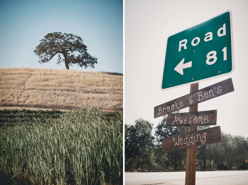 Blush Rustic & Vintage Wedding via TheELD.com