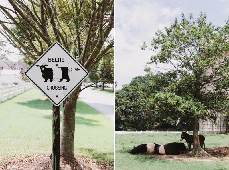 DIY Rustic Southern Wedding via TheELD.com