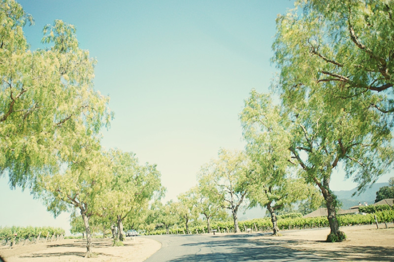 Pink and Mint California Vineyard Wedding via TheELD.com