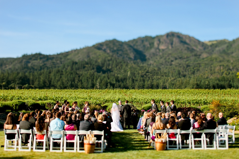 Elegant Travel Themed Purple Vineyard Wedding via TheELD.com