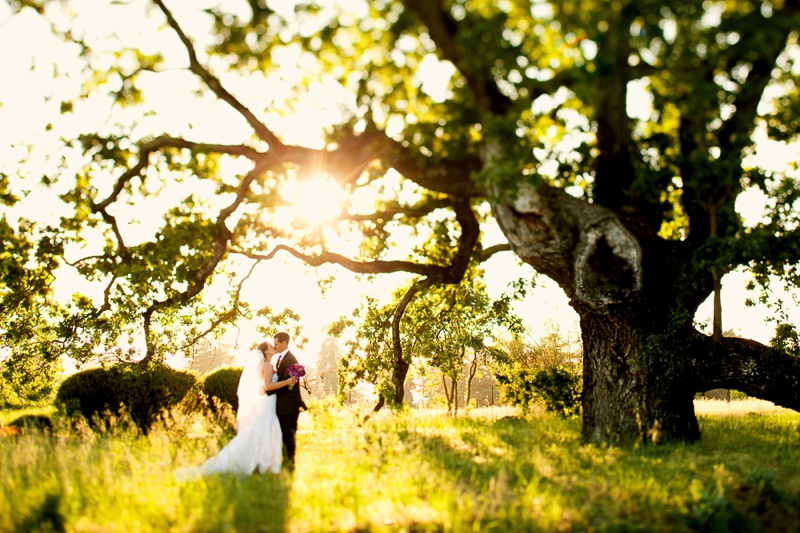 Elegant Travel Themed Purple Vineyard Wedding via TheELD.com