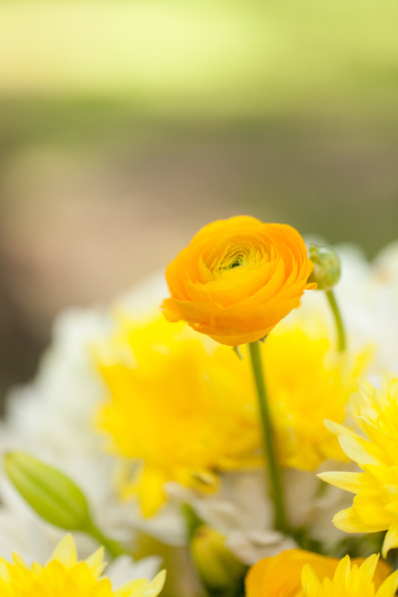 Yellow Wedding Ideas {Vintage} via TheELD.com