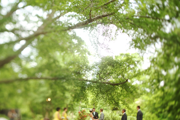 Fun and Bright Yellow and Gray Wedding via TheELD.com