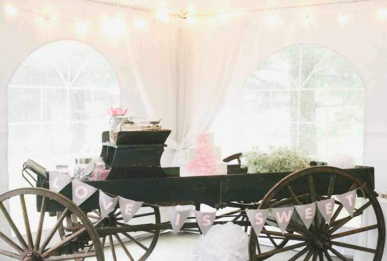 Vintage Rustic Pink and White Illinois Wedding via TheELD.com