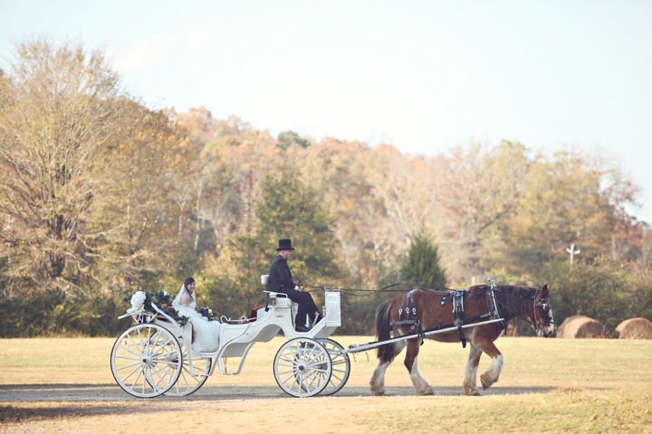 A Fall Purple and Champagne Alabama Wedding via TheELD.com