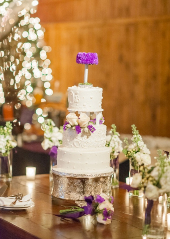 Purple and Silver North Carolina Winter Wedding via TheELD.com