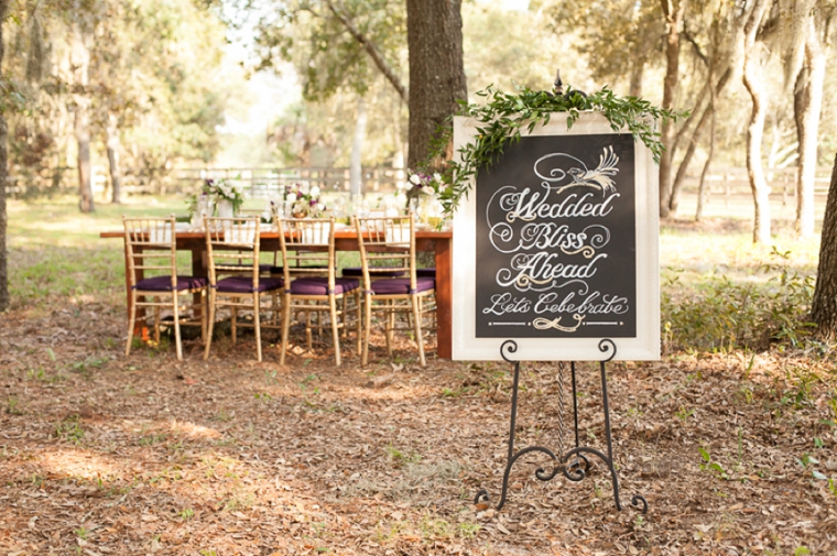 Rustic Chic Champagne and Purple Wedding Inspiration via TheELD.com