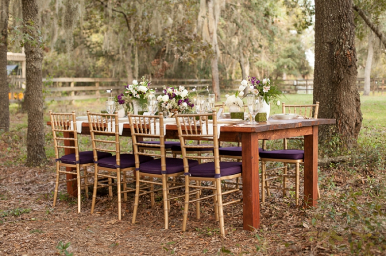 Rustic Chic Champagne and Purple Wedding Inspiration via TheELD.com