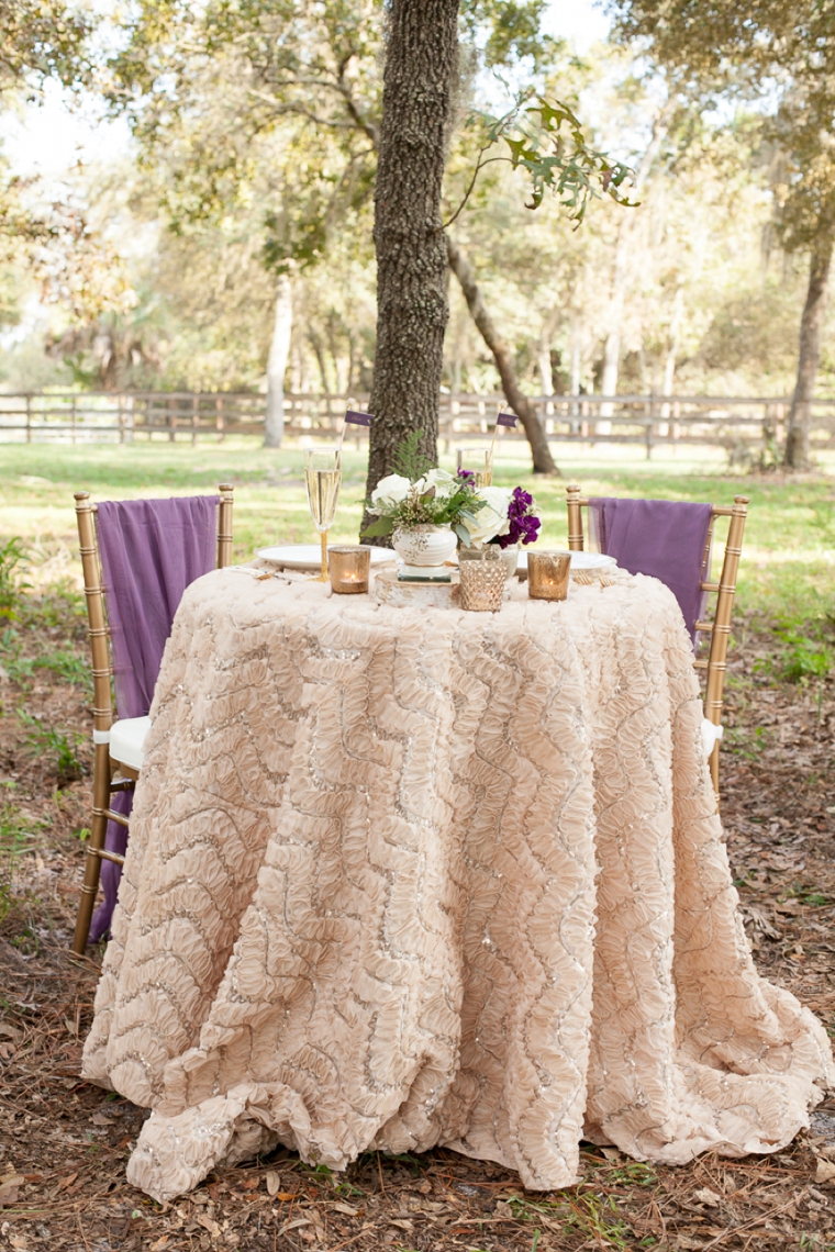 Rustic Chic Champagne and Purple Wedding Inspiration via TheELD.com