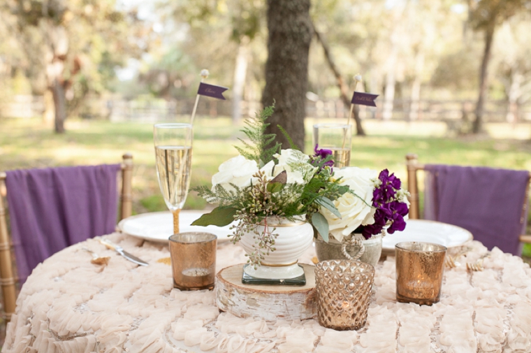 Rustic Chic Champagne and Purple Wedding Inspiration via TheELD.com