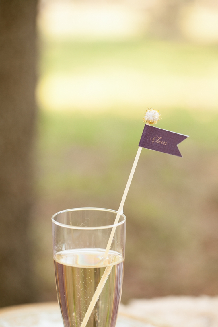 Rustic Chic Champagne and Purple Wedding Inspiration via TheELD.com