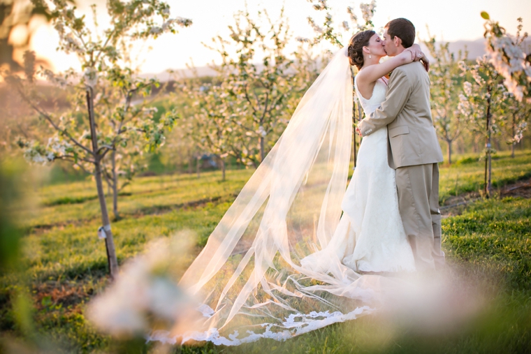 Rustic Yellow and Navy South Carolina Wedding via TheELD.com