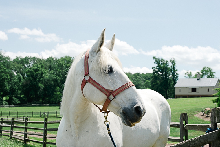 A Rustic Chic Pennsylvania Barn Wedding via TheELD.com