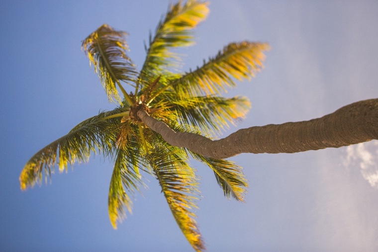 A Romantic Chic Islamorada Wedding via TheELD.com