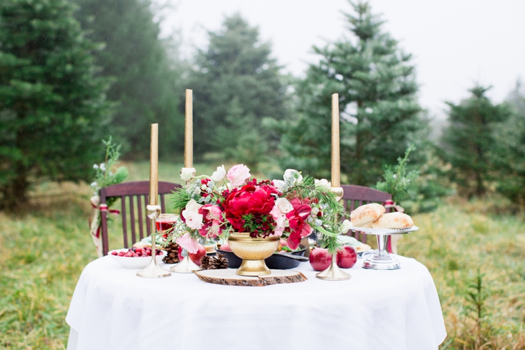 Rustic Chic Red and White Wedding Inspiration via TheELD.com