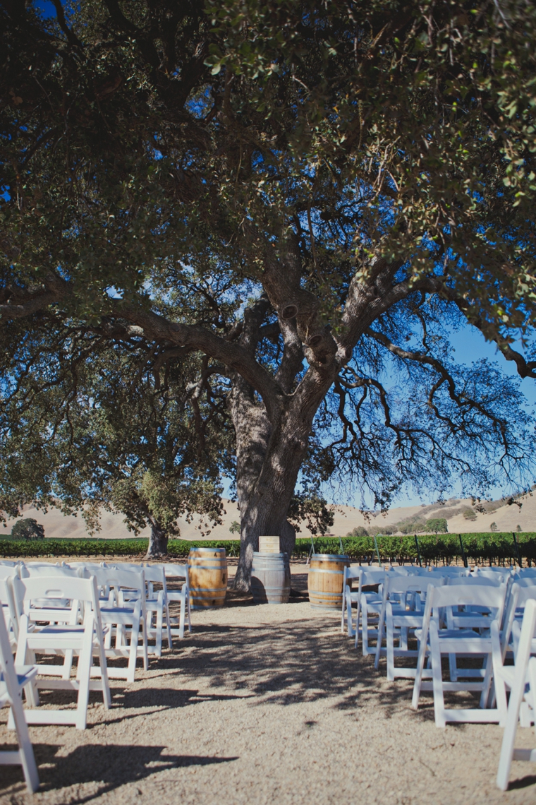 Mint & Orange California Vineyard Wedding via TheELD.com