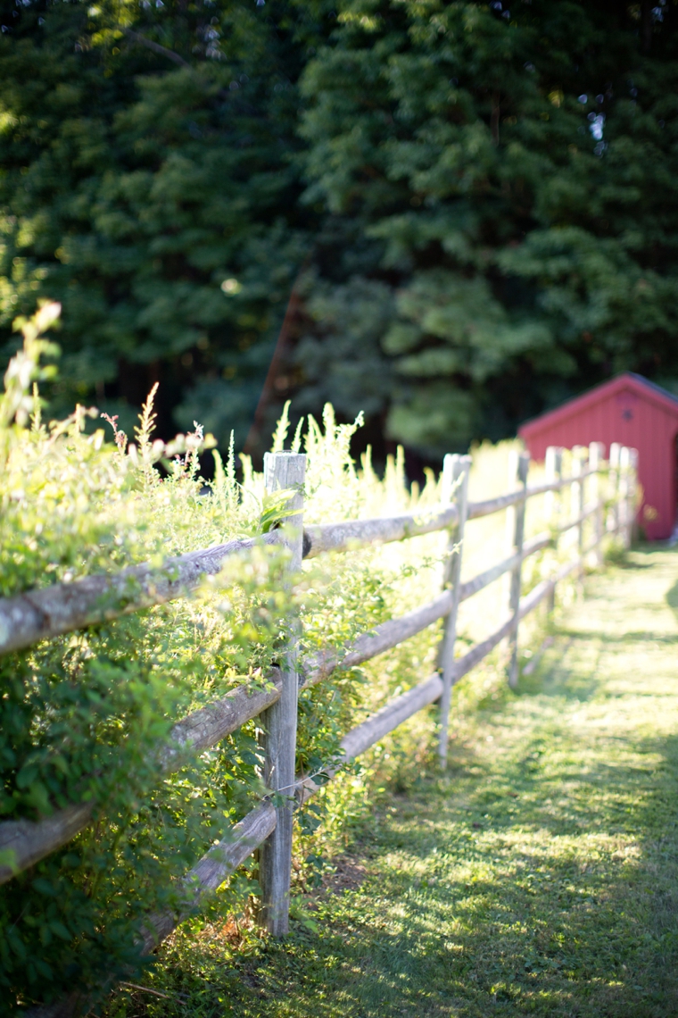 Pride and Prejudice Wedding Ideas via TheELD.com