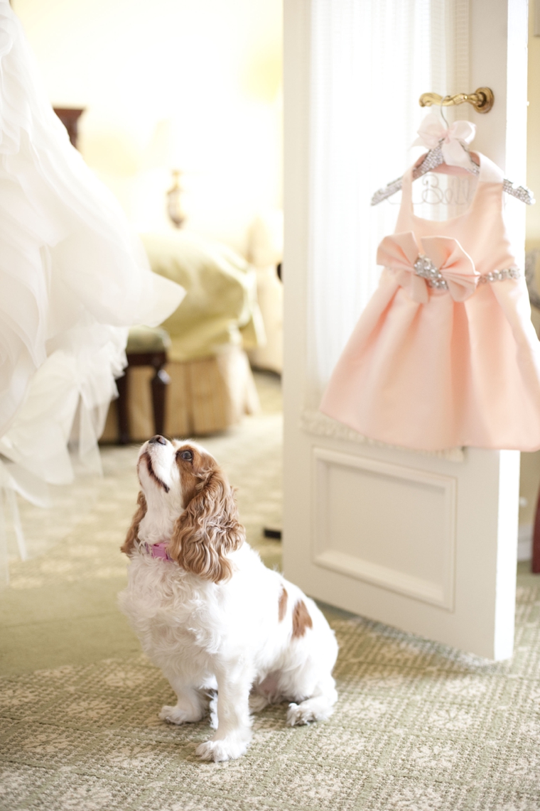 A Glamorous Silver & Blush Beach Wedding via TheELD.com