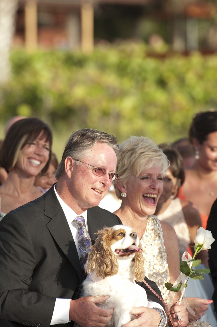 A Glamorous Silver & Blush Beach Wedding via TheELD.com