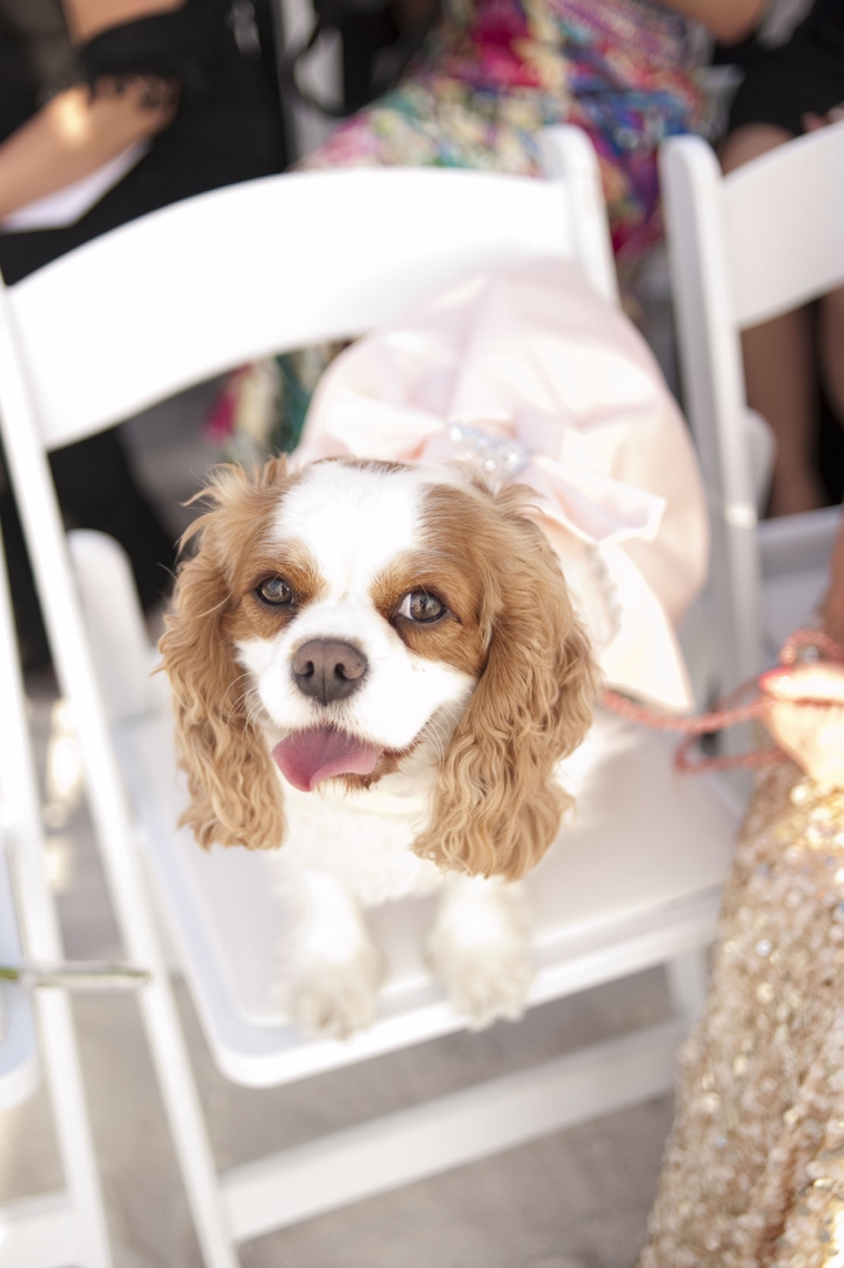 A Glamorous Silver & Blush Beach Wedding via TheELD.com