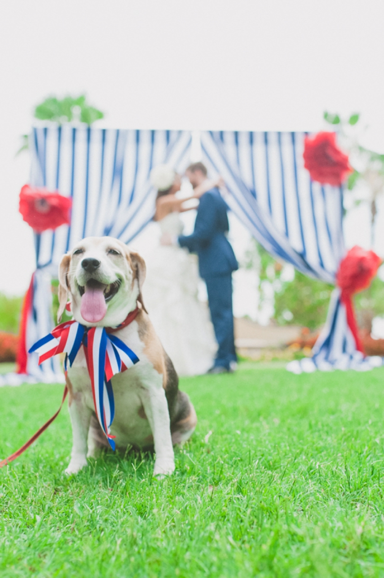 Eclectic Red, White, and Blue Wedding Ideas via TheELD.com