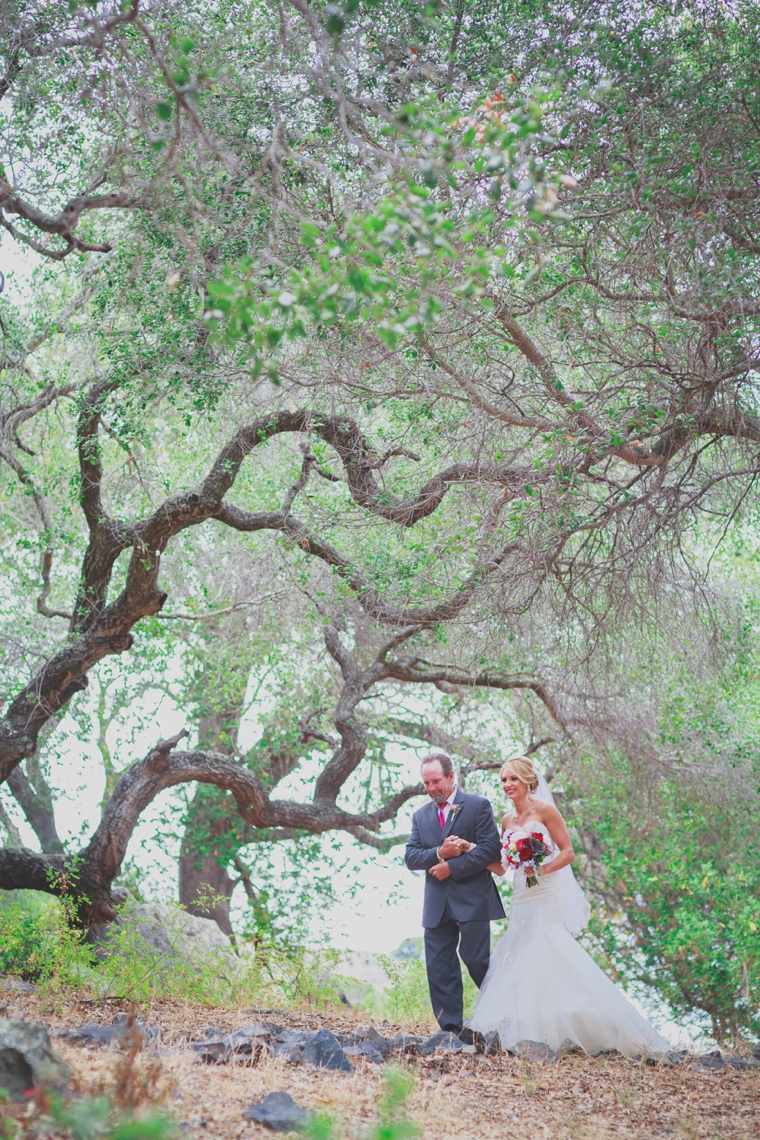 A Plum & Fuchsia California Vineyard Wedding via TheELD.com