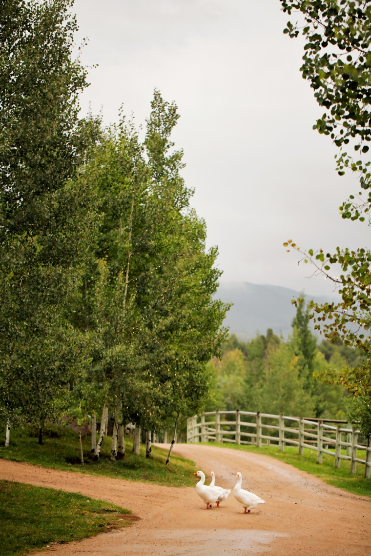 A Rustic Utah Ranch Fall Wedding via TheELD.com