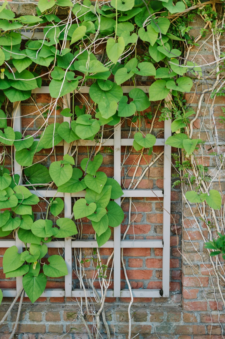 An Elegant Chicago Botanic Garden Wedding via TheELD.com