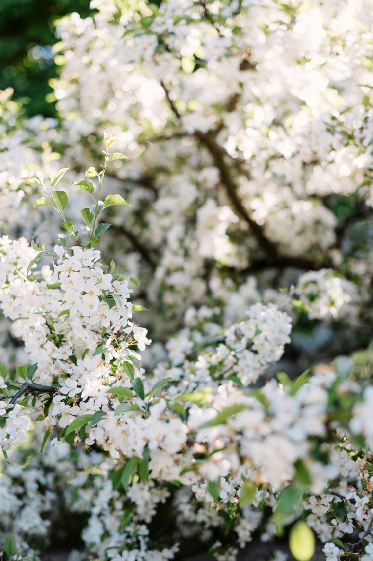 An Elegant Chicago Botanic Garden Wedding via TheELD.com