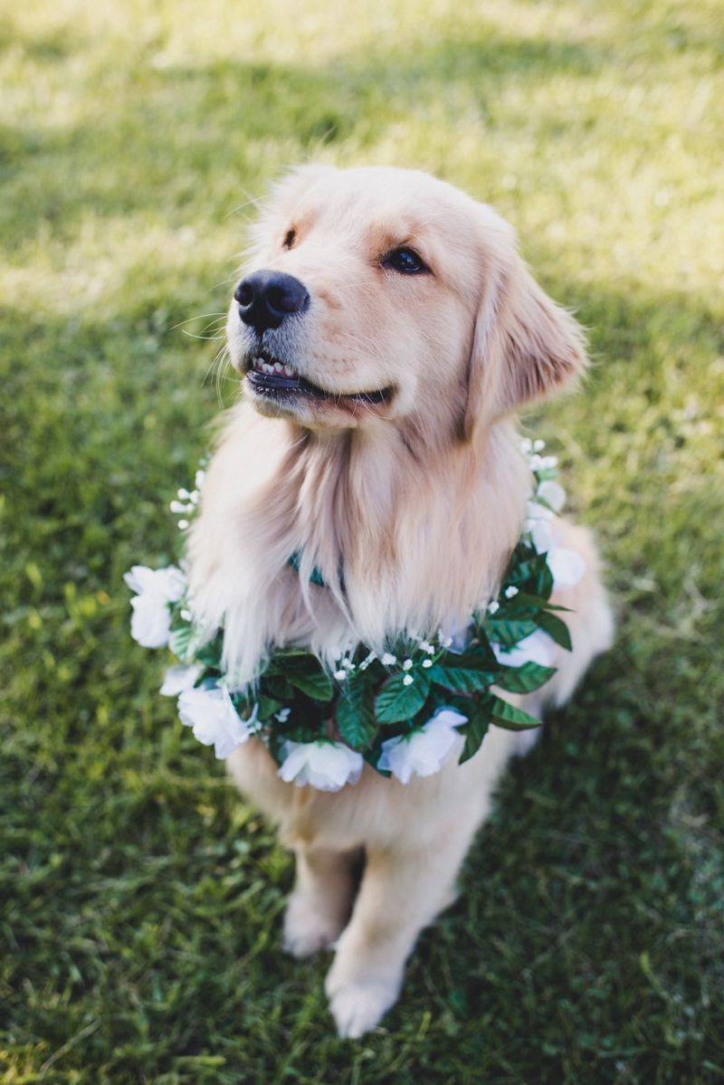 A Natural and Enchanting Vermont Wedding via TheELD.com