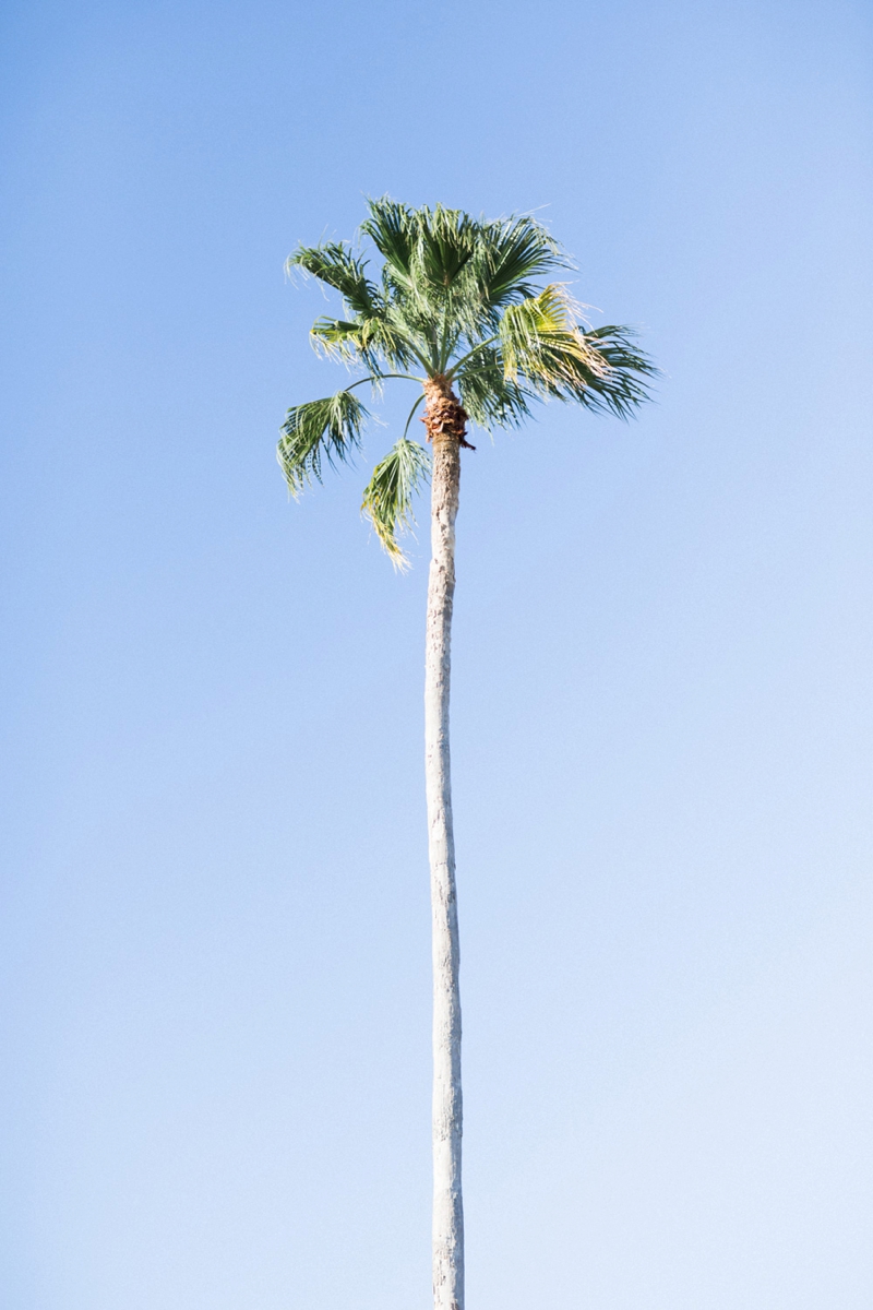 Glamorous Captiva Island Destination Wedding via TheELD.com