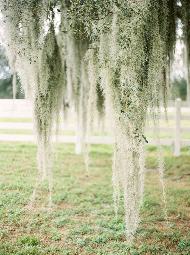 Sophisticated Yellow & Pale Blue Wedding Inspiration via TheELD.com