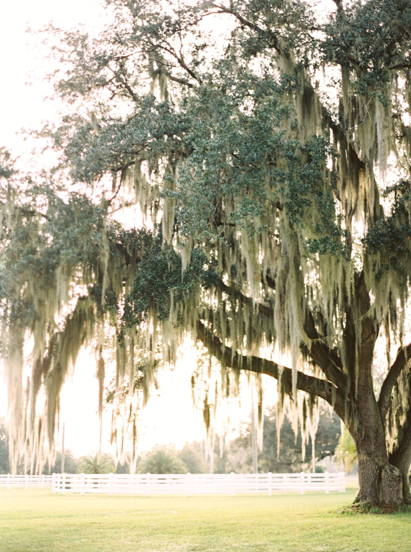 Sophisticated Yellow & Pale Blue Wedding Inspiration via TheELD.com