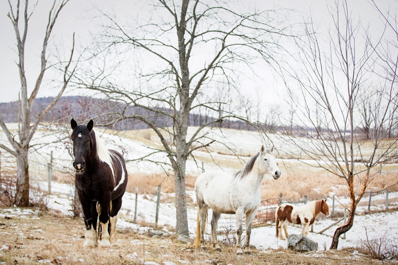 Rustic Elegant Winter Wedding Ideas via TheELD.com