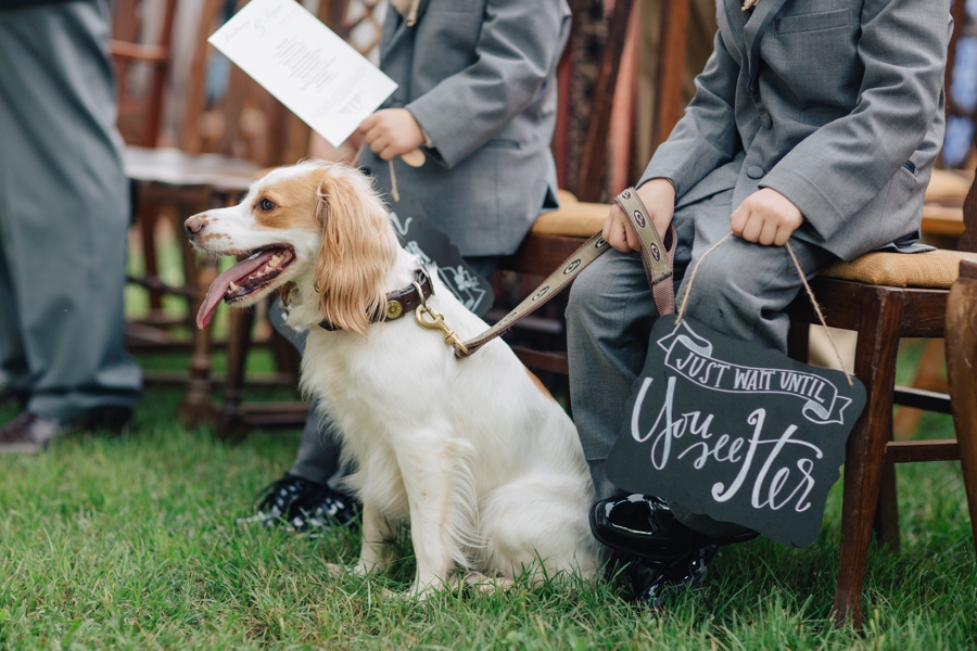 A Blush & Champagne Georgia Wedding via TheELD.com