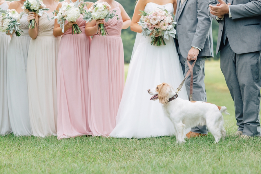 A Blush & Champagne Georgia Wedding via TheELD.com