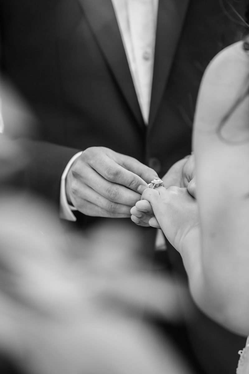 Elegant Blush & Red California Wedding via TheELD.com