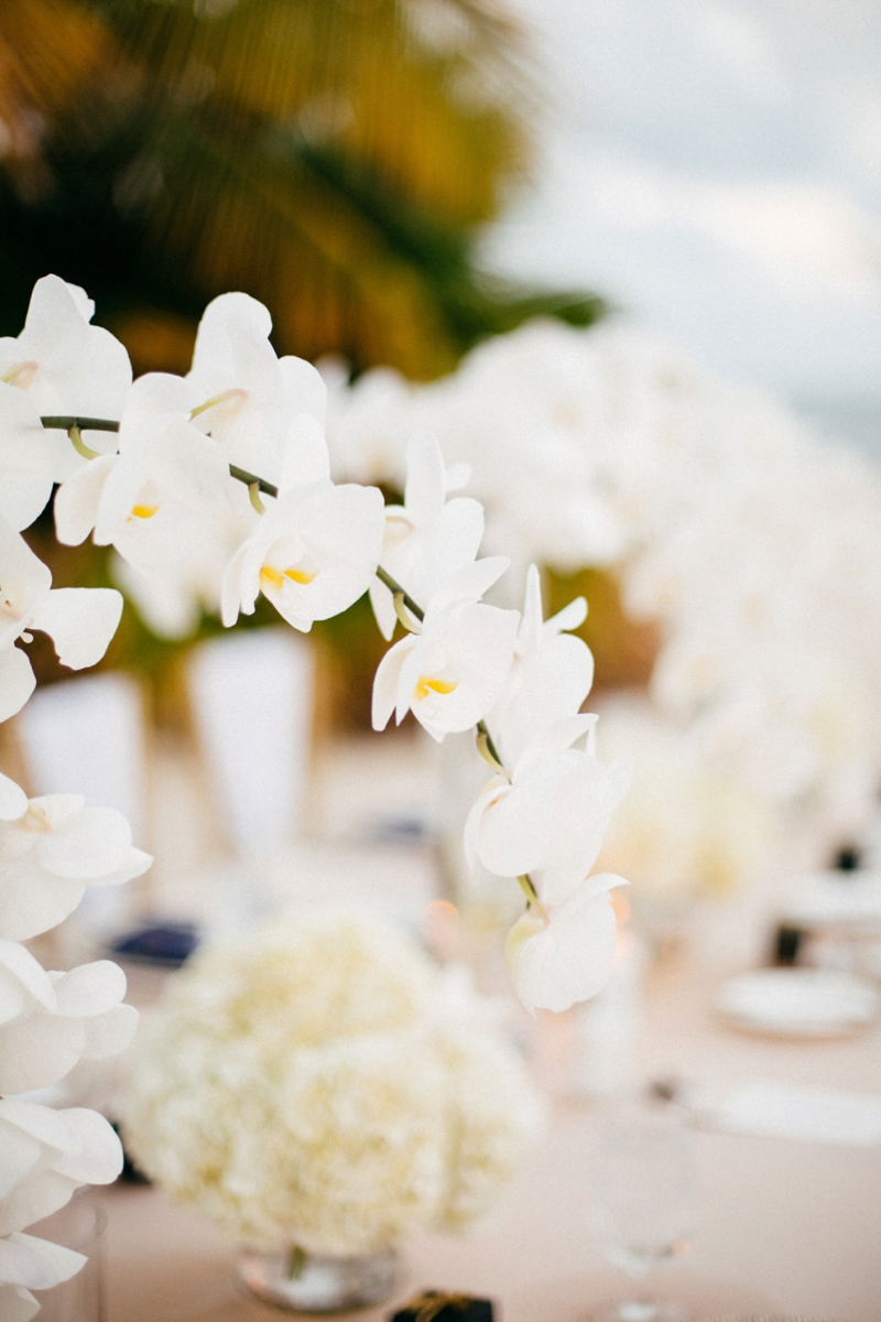 Glamorous Navy & White Islamorada Wedding via TheELD.com