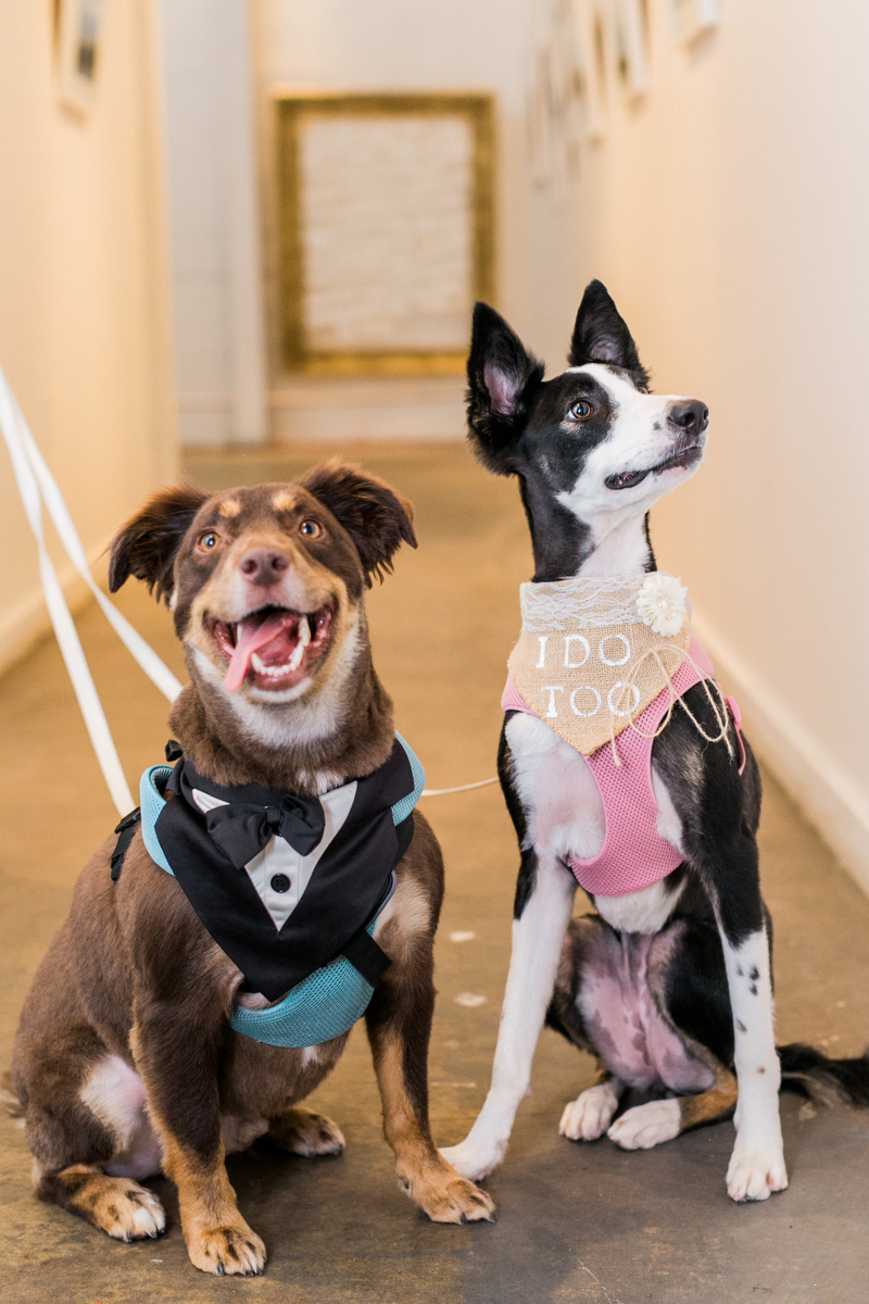 A Romantic Red White and Blue Wedding via TheELD.com