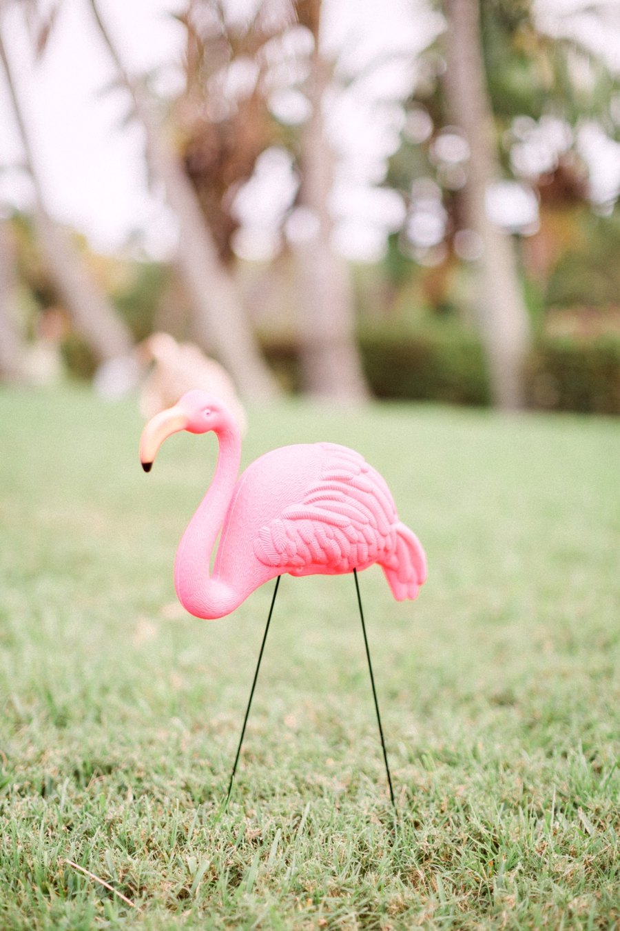 Chic Florida Inspired Pink and Aqua Wedding Ideas via TheELD.com