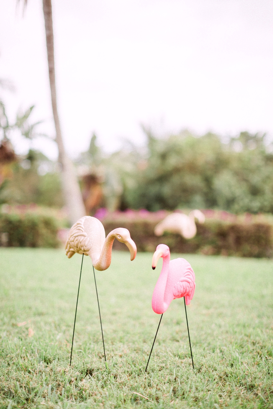 Chic Florida Inspired Pink and Aqua Wedding Ideas via TheELD.com