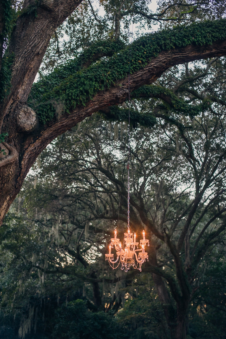 Romantic Blush and Gold Charleston Wedding via TheELD.com