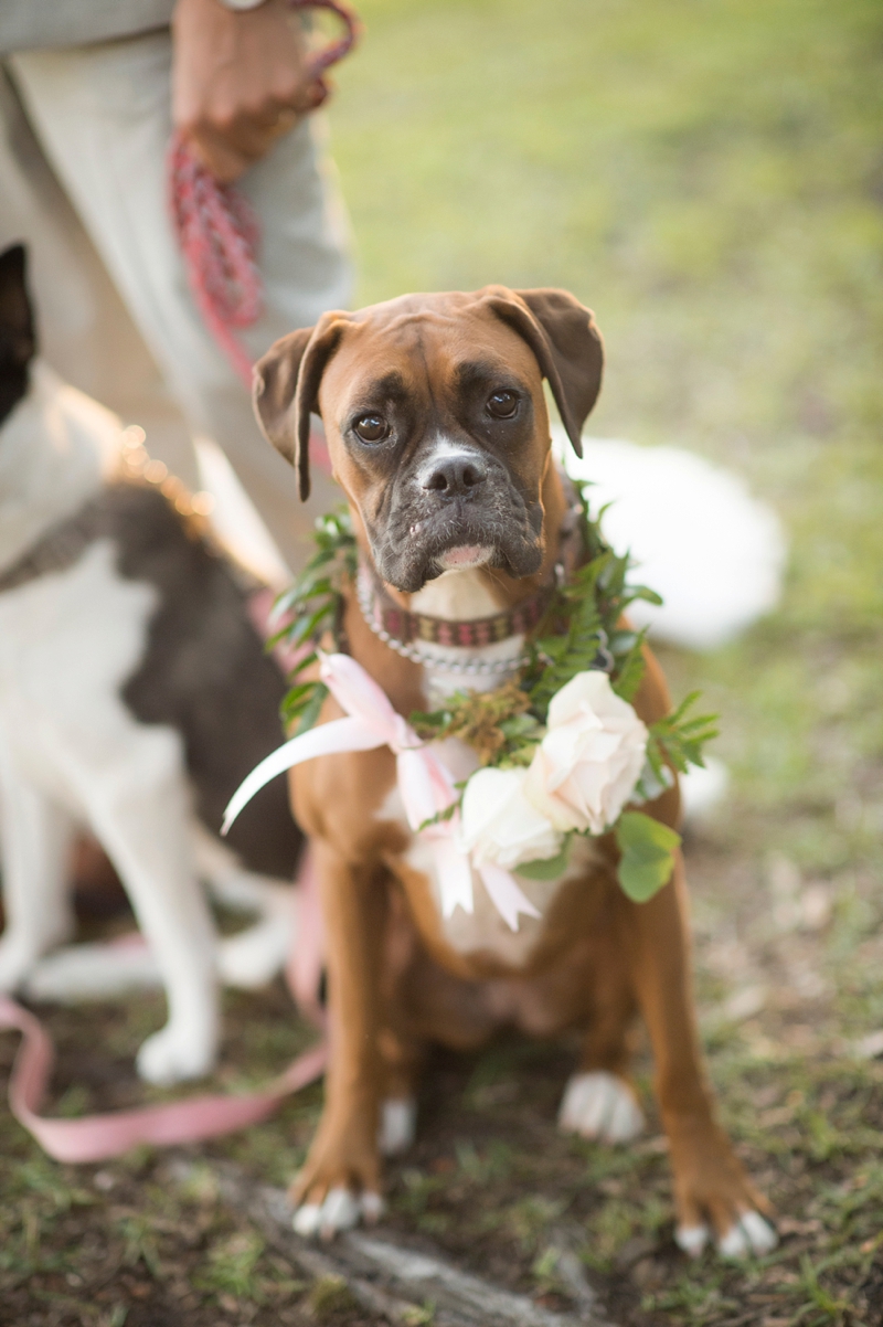 Elegant & Earthy Waterside Wedding in Navarre via TheELD.com