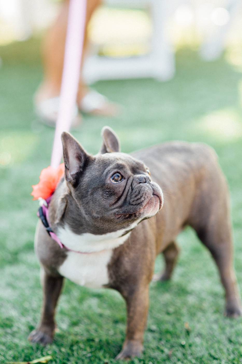 Bright Bohemian Beach Wedding via TheELD.com