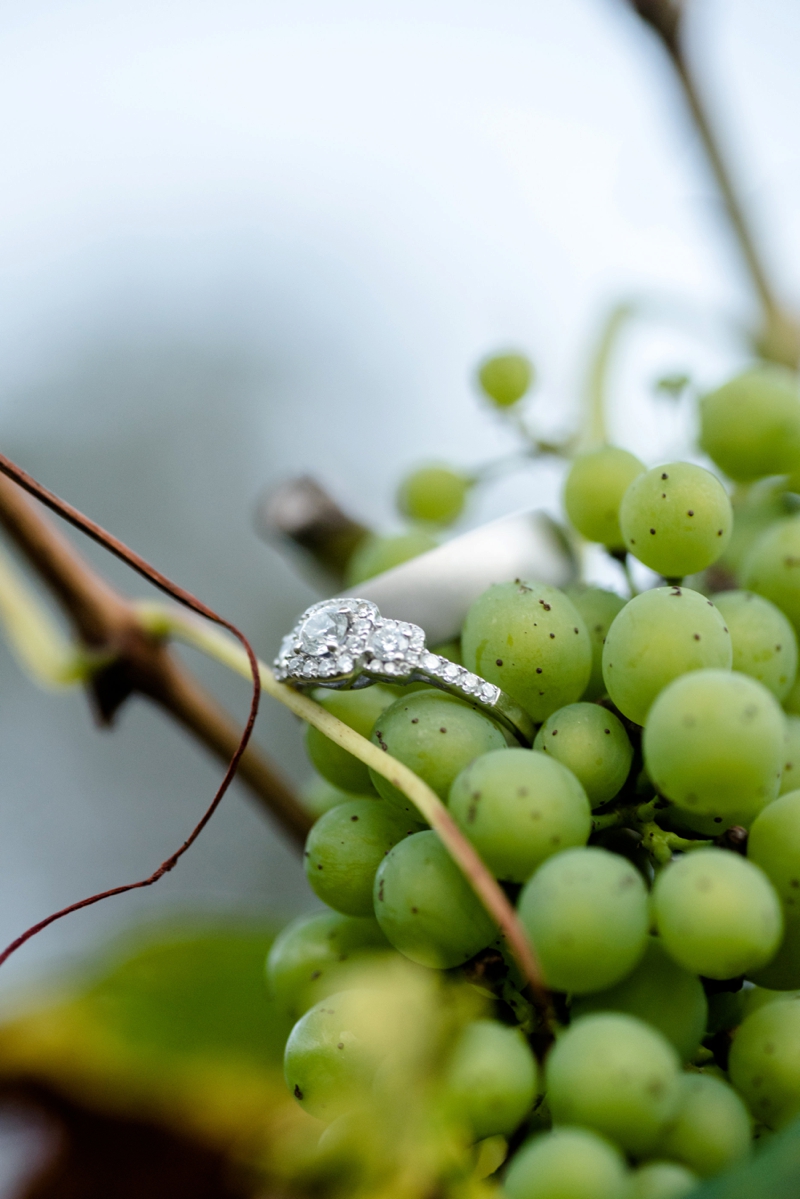 A Romantic North Carolina Vineyard Wedding via TheELD.com